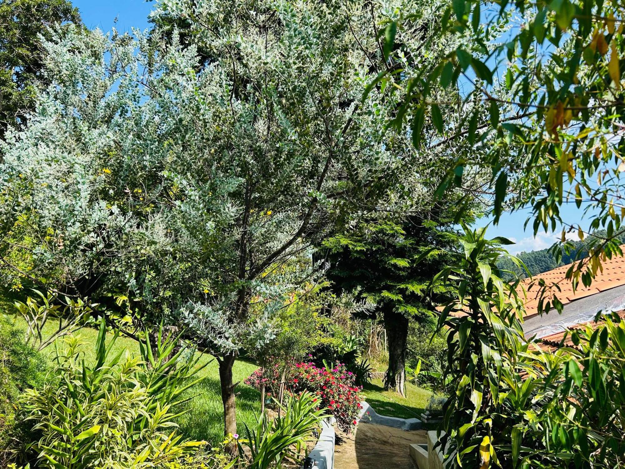 Villa Garibaldi Joanópolis Exteriér fotografie